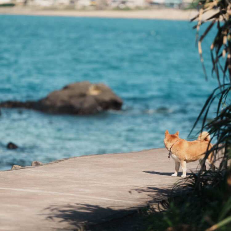 1130505_來福_web-54